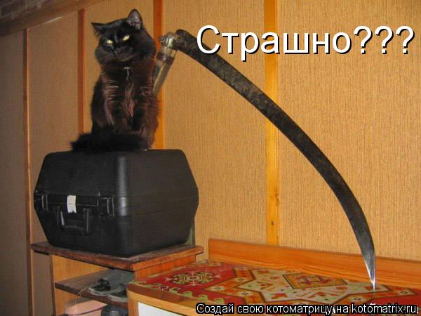 Котоматрица: Страшно???