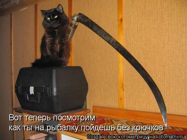 Котоматрица: Вот теперь посмотрим  как ты на рыбалку пойдёшь без крючков