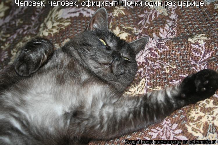 Человек, человек, официант! Почки один раз царице!... Котоматрица: Человек, человек, официант! Почки один раз царице!