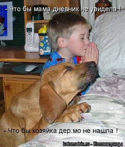 - Что бы мама дневник не увидела ! - Что бы хозяйка дер.мо не нашла !... Котоматрица: - Что бы мама дневник не увидела ! - Что бы хозяйка дер.мо не нашла !