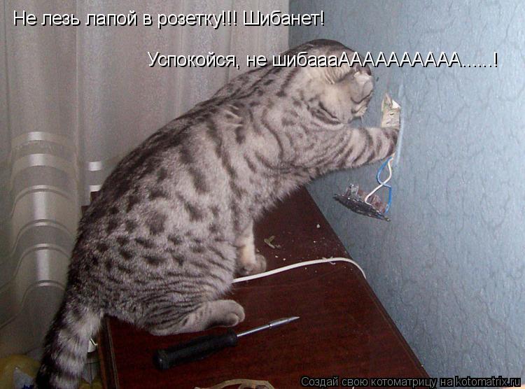 Не лезь лапой в розетку!!! Шибанет! Успокойся, не шибаааАААААААААА......!... Котоматрица: Не лезь лапой в розетку!!! Шибанет! Успокойся, не шибаааАААААААААА......!
