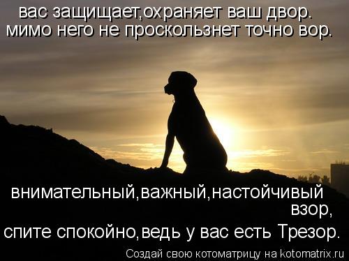вас защищает,охраняет ваш двор. мимо него не проскользнет точно вор. внимательный,важный,настойчивый ... Котоматрица: вас защищает,охраняет ваш двор. мимо него не проскользнет точно вор. внимательный,важный,настойчивый взор, спите спокойно,ведь у вас есть Т