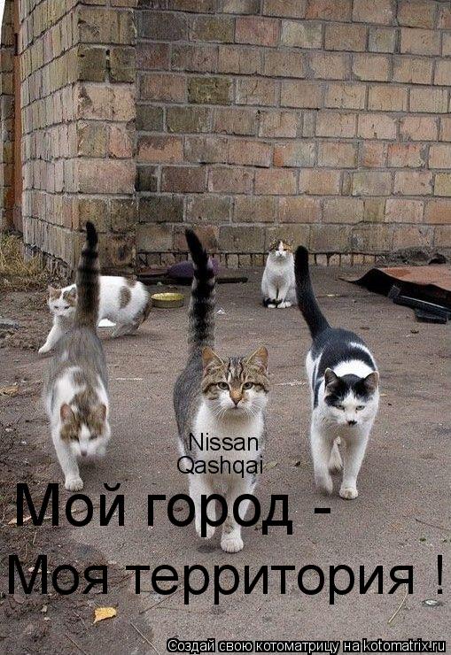 Nissan Мой город - Моя территория ! Qashqai... Котоматрица: Nissan Мой город - Моя территория ! Qashqai