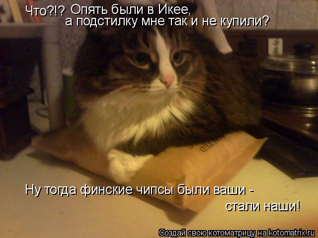 Что?!? Опять были в Икее, а подстилку мне так и не купили? Ну тогда финские чипсы были ваши - стали н... Котоматрица: Что?!? Опять были в Икее, а подстилку мне так и не купили? Ну тогда финские чипсы были ваши - стали наши!