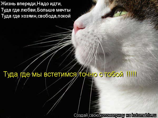 Котоматрица: Жизнь впереди,Надо идти,  Туда где любви,Больше мечты Туда где хозяин,свобода,покой Туда где мы встетимся точно с тобой !!!!!