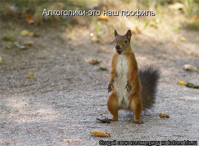 Алкоголики-это наш профиль... Котоматрица: Алкоголики-это наш профиль