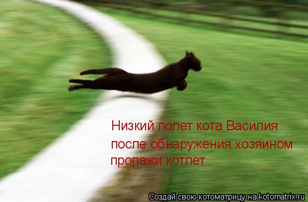 Низкий полет кота Василия после обнаружения хозяином пропажи котлет... Котоматрица: Низкий полет кота Василия после обнаружения хозяином пропажи котлет