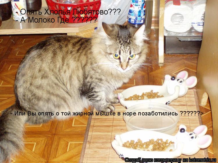 - Опять Хлопья Любятово??? - А Молоко Где ?????? - Или Вы опять о той жирной мышке в норе позаботилис... Котоматрица: - Опять Хлопья Любятово??? - А Молоко Где ?????? - Или Вы опять о той жирной мышке в норе позаботились ??????>