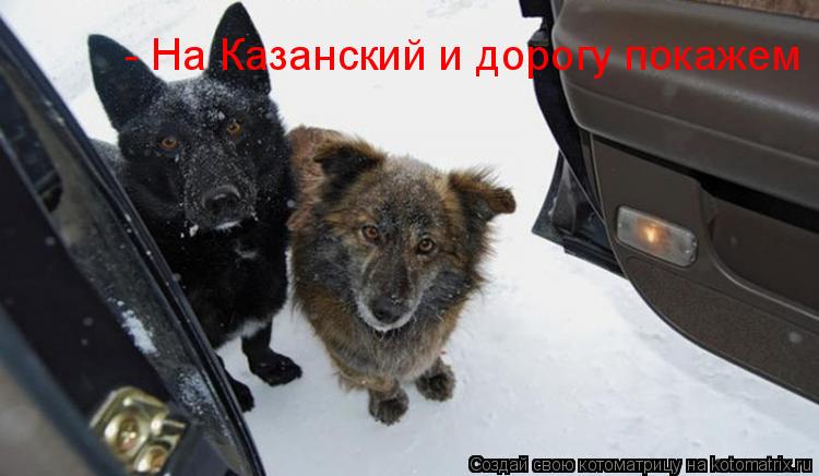 - На Казанский и дорогу покажем !... Котоматрица: - На Казанский и дорогу покажем !