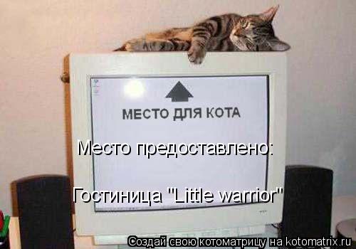 Котоматрица: Гостиница "Little warrior"  Место предоставлено: