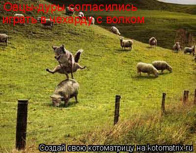Котоматрица: Овцы-дуры согласились  играть в чехарду с волком