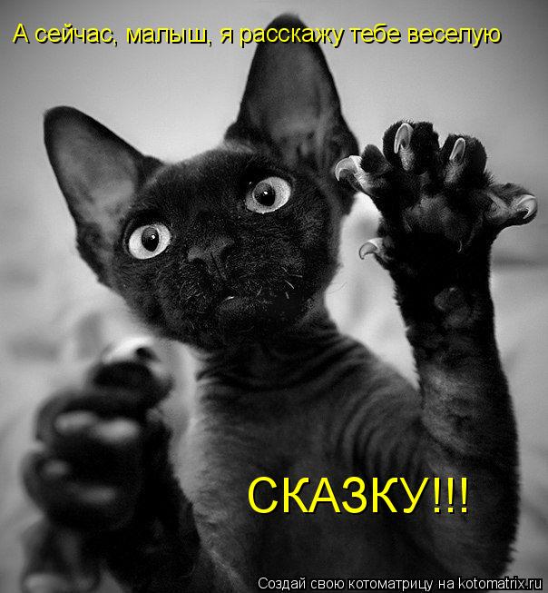 Котоматрица: А сейчас, малыш, я расскажу тебе веселую СКАЗКУ!!!