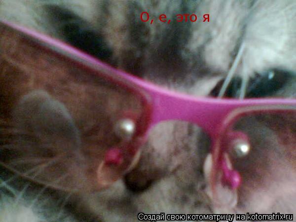 Котоматрица: О, е, это я