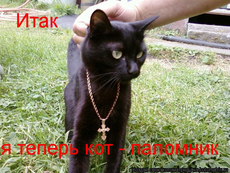 Итак я теперь кот - паломник... Котоматрица: Итак я теперь кот - паломник