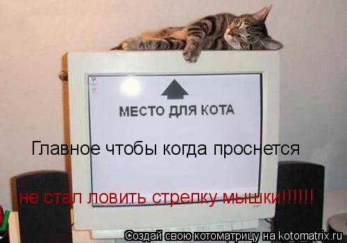 Главное чтобы когда проснется не стал ловить стрелку мышки!!!!!!... Котоматрица: Главное чтобы когда проснется не стал ловить стрелку мышки!!!!!!