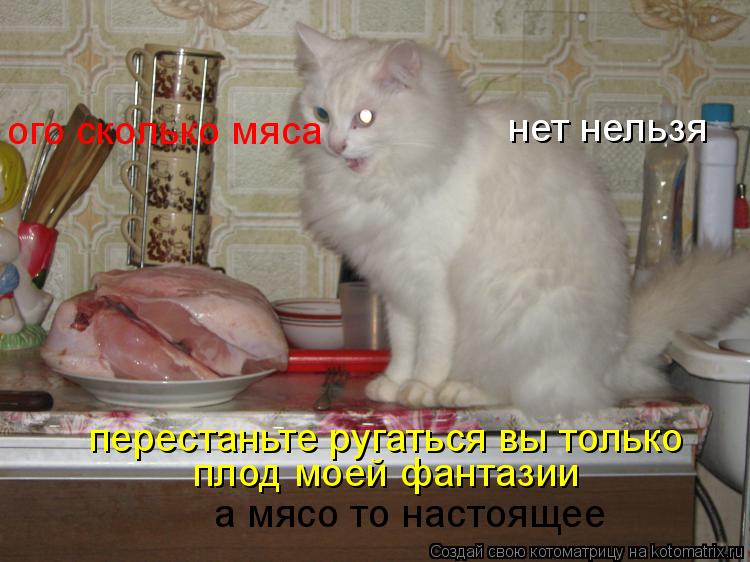 ого сколько мяса нет нельзя перестаньте ругаться вы только плод моей фантазии а мясо то настоящее... Котоматрица: ого сколько мяса нет нельзя перестаньте ругаться вы только плод моей фантазии а мясо то настоящее