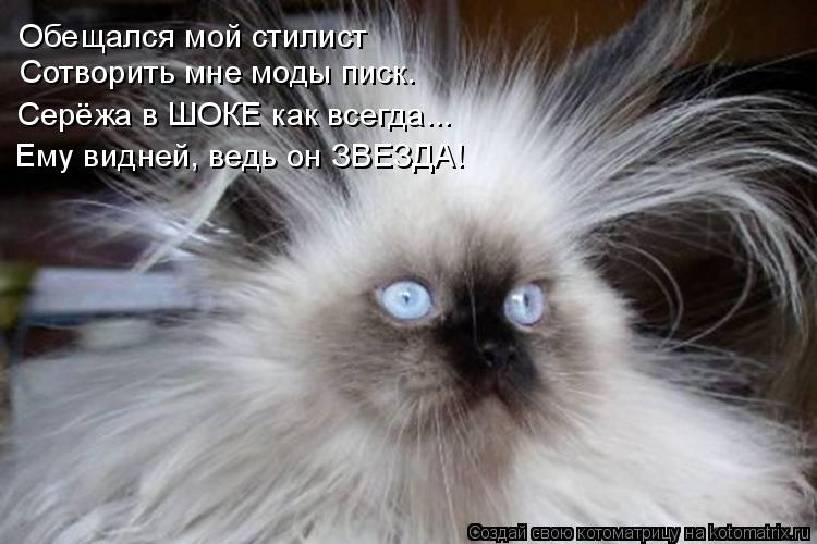 Котоматрица: Обещался мой стилист Сотворить мне моды писк. Серёжа в ШОКЕ как всегда... Ему видней, ведь он ЗВЕЗДА!
