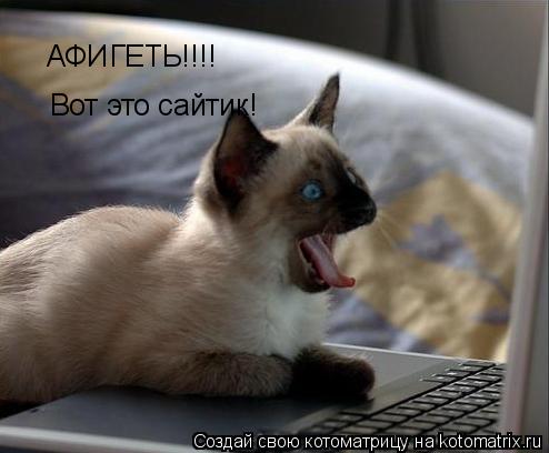 АФИГЕТЬ!!!! Вот это сайтик!... Котоматрица: АФИГЕТЬ!!!! Вот это сайтик!