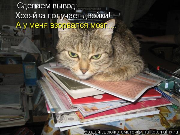 Сделаем вывод: Хозяйка получает двойки! А у меня взорвался мозг........ Котоматрица: Сделаем вывод: Хозяйка получает двойки! А у меня взорвался мозг.....