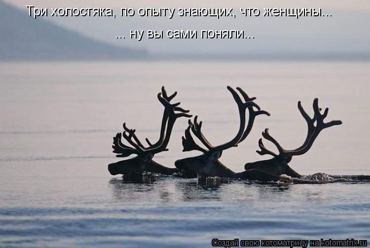 Три холостяка, по опыту знающих, что женщины... ... ну вы сами поняли...... Котоматрица: Три холостяка, по опыту знающих, что женщины... ... ну вы сами поняли...