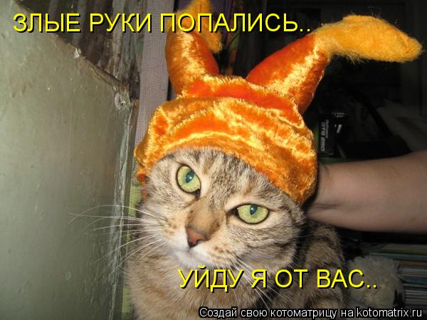 ЗЛЫЕ РУКИ ПОПАЛИСЬ.. УЙДУ Я ОТ ВАС..... Котоматрица: ЗЛЫЕ РУКИ ПОПАЛИСЬ.. УЙДУ Я ОТ ВАС..