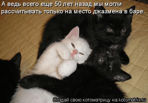 А ведь всего еще 50 лет назад мы могли рассчитывать только на место джазмена в баре..... Котоматрица: А ведь всего еще 50 лет назад мы могли рассчитывать только на место джазмена в баре..