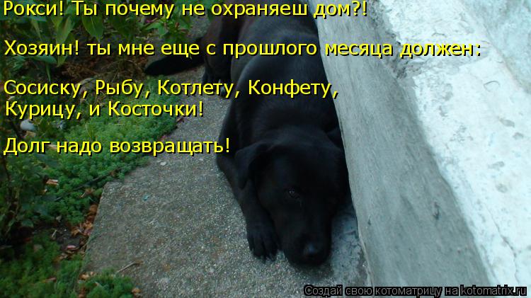 Котоматрица: Хозяин! ты мне еще с прошлого месяца должен: Рокси! Ты почему не охраняеш дом?! Сосиску, Рыбу, Котлету, Конфету,  Курицу, и Косточки!  Долг надо 