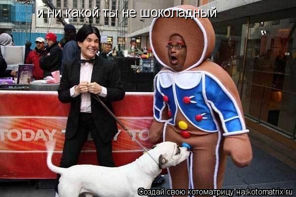 Котоматрица: и ни какой ты не шоколадный
