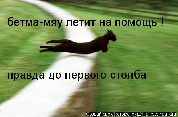 Котоматрица: бетма-мяу летит на помощь ! правда до первого столба