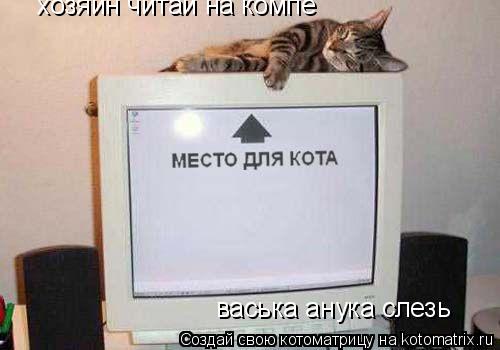 Котоматрица: васька анука слезь хозяин читай на компе