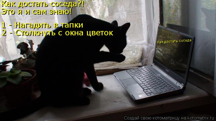 Котоматрица: Как достать соседа Как достать соседа?! Это я и сам знаю! 1 - Нагадить в тапки 2 - Столкнуть с окна цветок