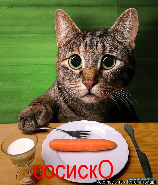 Котоматрица: сосискО
