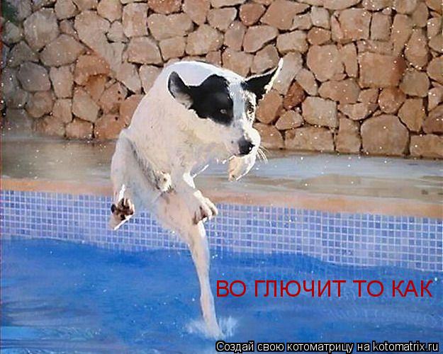 Котоматрица: ВО ГЛЮЧИТ ТО КАК