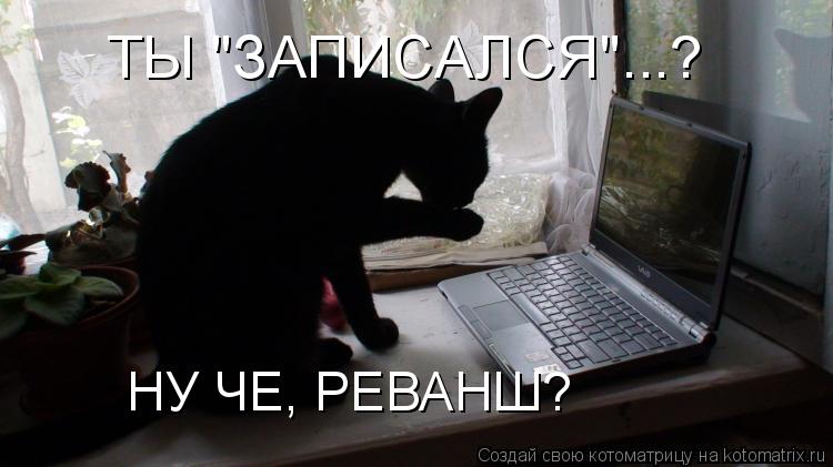 Котоматрица: НУ ЧЕ, РЕВАНШ? ТЫ "ЗАПИСАЛСЯ"...?