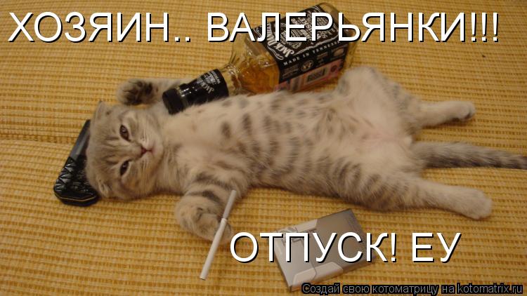 Котоматрица: ХОЗЯИН.. ВАЛЕРЬЯНКИ!!! ОТПУСК! ЕУ