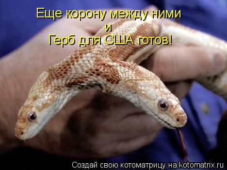 Котоматрица: Еще корону между ними и Герб для США готов!
