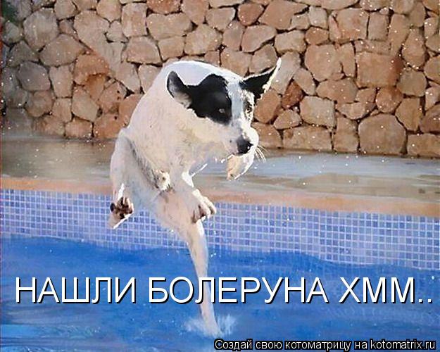 Котоматрица: НАШЛИ БОЛЕРУНА ХММ..