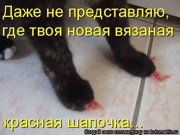 Котоматрица: Даже не представляю, где твоя новая вязаная красная шапочка...