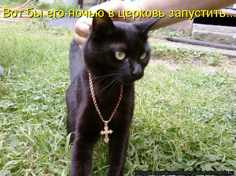 Котоматрица: Вот бы его ночью в церковь запустить...
