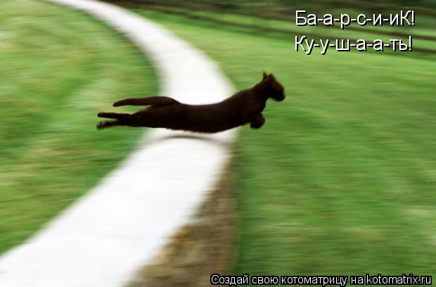 Ба-а-р-с-и-иК! Ку-у-ш-а-а-ть!... Котоматрица: Ба-а-р-с-и-иК! Ку-у-ш-а-а-ть!