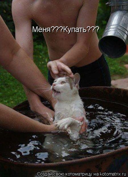 Меня???Купать???... Котоматрица: Меня???Купать???