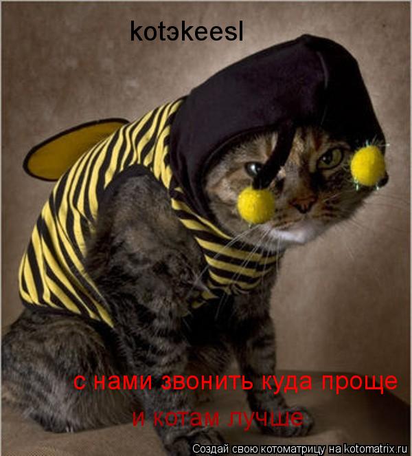 kotэkeesl и котам лучше с нами звонить куда проще... Котоматрица: kotэkeesl и котам лучше с нами звонить куда проще
