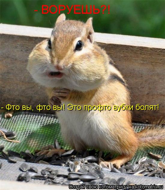 - ВОРУЕШЬ?! - Фто вы, фто вы! Это профто вубки болят!... Котоматрица: - ВОРУЕШЬ?! - Фто вы, фто вы! Это профто вубки болят!