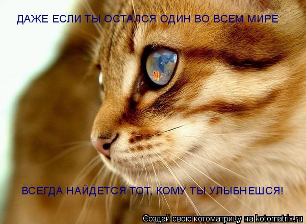 ДАЖЕ ЕСЛИ ТЫ ОСТАЛСЯ ОДИН ВО ВСЕМ МИРЕ ВСЕГДА НАЙДЕТСЯ ТОТ, КОМУ ТЫ УЛЫБНЕШСЯ!... Котоматрица: ДАЖЕ ЕСЛИ ТЫ ОСТАЛСЯ ОДИН ВО ВСЕМ МИРЕ ВСЕГДА НАЙДЕТСЯ ТОТ, КОМУ ТЫ УЛЫБНЕШСЯ!