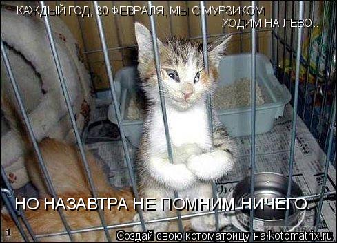 КАЖДЫЙ ГОД, 30 ФЕВРАЛЯ, МЫ С МУРЗИКОМ ХОДИМ НА ЛЕВО.. НО НАЗАВТРА НЕ ПОМНИМ НИЧЕГО.... Котоматрица: КАЖДЫЙ ГОД, 30 ФЕВРАЛЯ, МЫ С МУРЗИКОМ ХОДИМ НА ЛЕВО.. НО НАЗАВТРА НЕ ПОМНИМ НИЧЕГО.