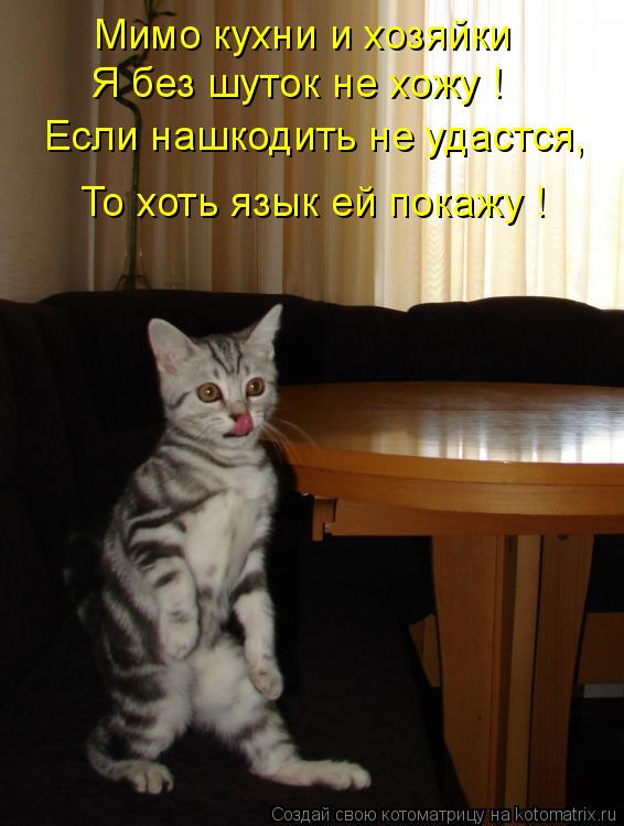 Мимо кухни и хозяйки Я без шуток не хожу ! Если нашкодить не удастся, То хоть язык ей покажу !... Котоматрица: Мимо кухни и хозяйки Я без шуток не хожу ! Если нашкодить не удастся, То хоть язык ей покажу !