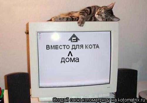 в ^ дома ш -... Котоматрица: в ^ дома ш -
