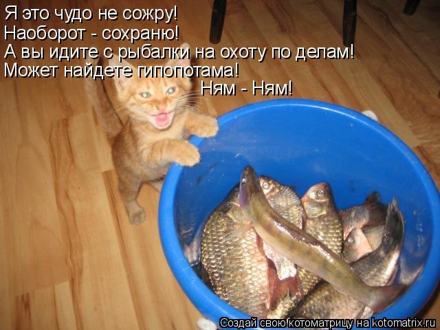 Я это чудо не сожру! Наоборот - сохраню! А вы идите с рыбалки на охоту по делам! Может найдете гипопо... Котоматрица: Я это чудо не сожру! Наоборот - сохраню! А вы идите с рыбалки на охоту по делам! Может найдете гипопотама! Ням - Ням!