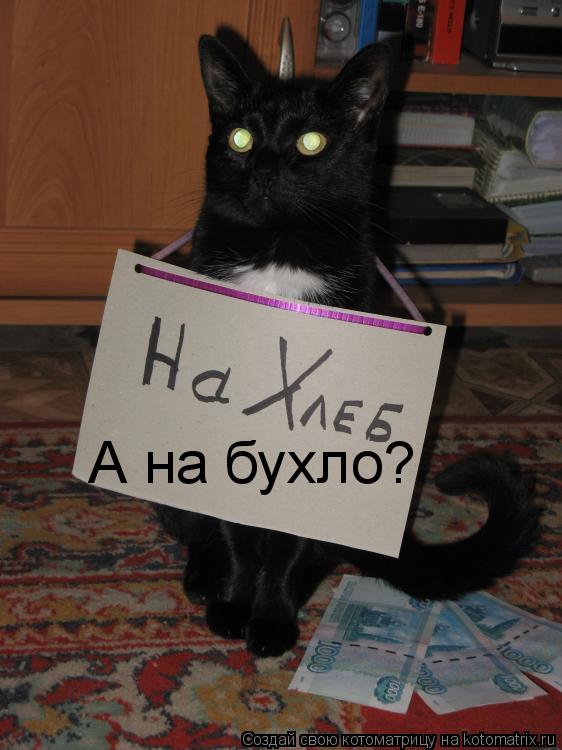 Котоматрица: А на бухло?