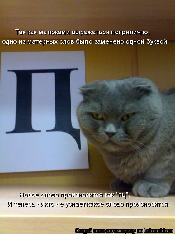 Котоматрица: Так как матюками выражаться неприлично, одно из матерных слов было заменено одной буквой. Новое слово произносится как "пц". И теперь никто 